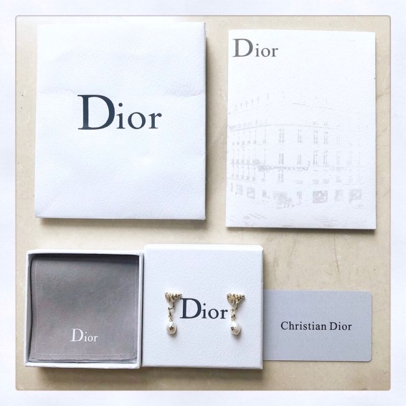 Christian Dior Earrings